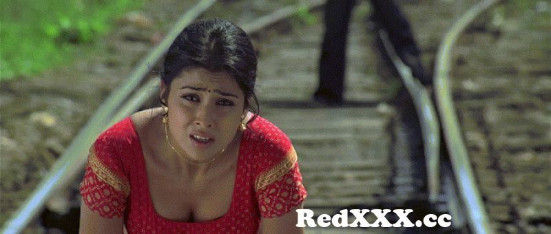 Shriya saran hot cleavage-new porn