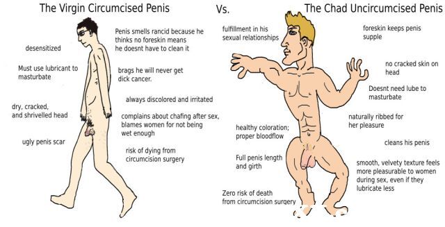 What does a circumsised penis look like - Porn galleries