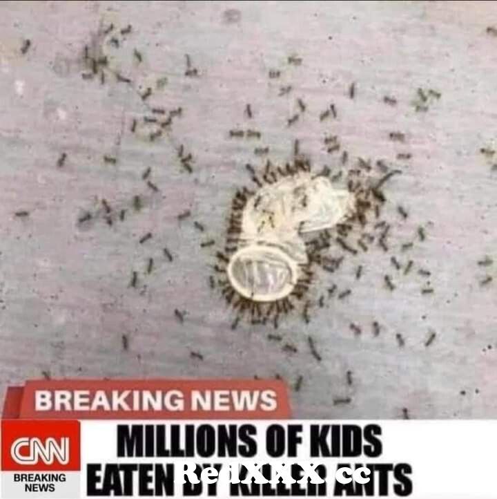 Ants on pussy