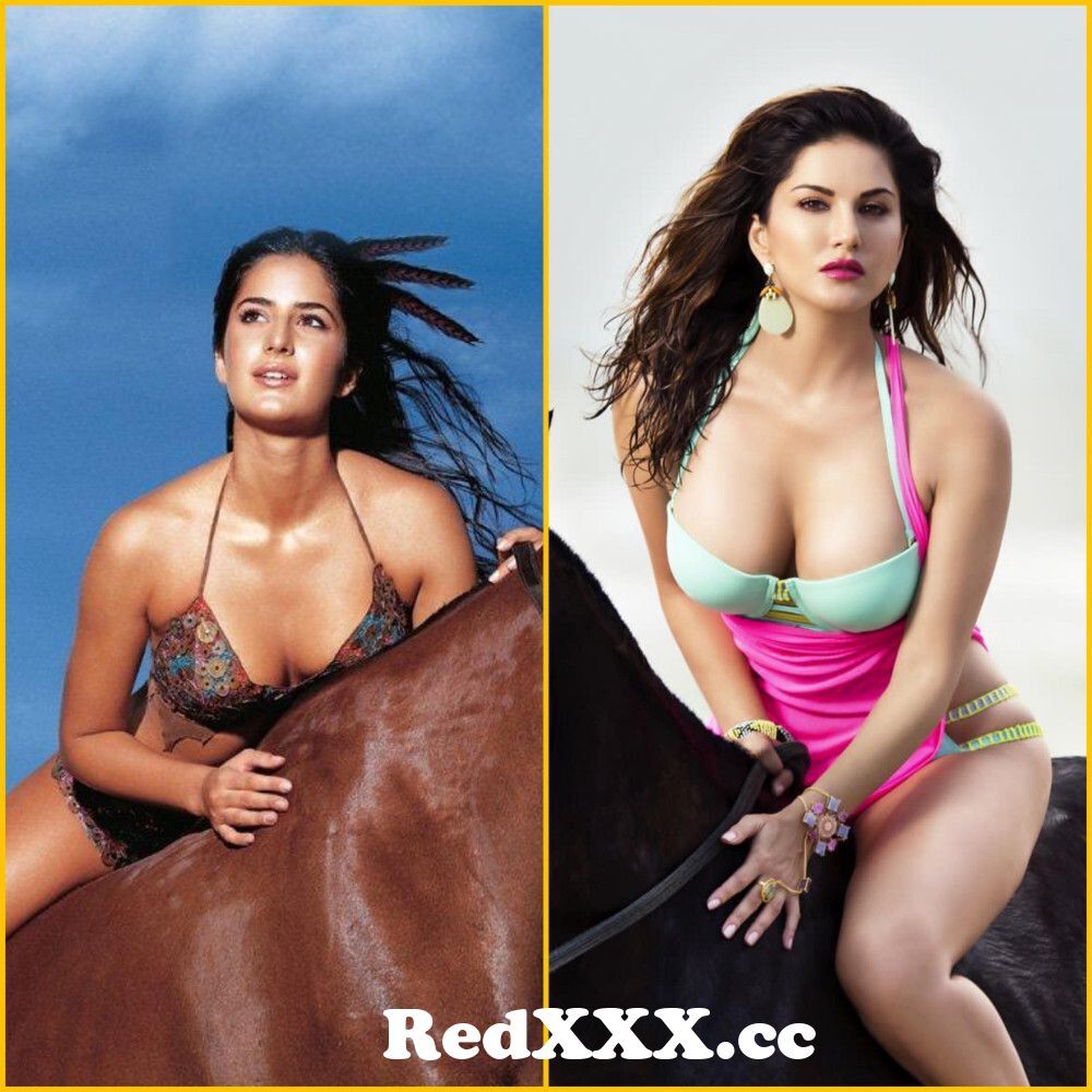Horse Ride - Katrina Kaif vs Sunny Leone from next» sunny leone new xxxx  without photo comrina kaif xxx katrina ki chut main lundx matar delwat Post  