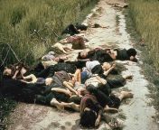 The Mỹ Lai massacre was the mass murder of unarmed South Vietnamese civilians by United States troops in Sơn Tịnh District, South Vietnam, on 16 March 1968 during the Vietnam War. from kama vietnam