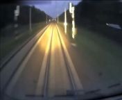 [50/50] Cool edit of a train (SFW) | Deer explodes after getting hit by train (NSFW) from srilank train